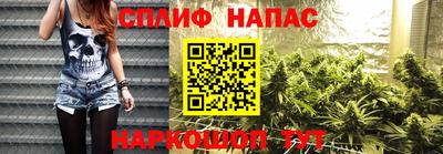 амф Коммунар