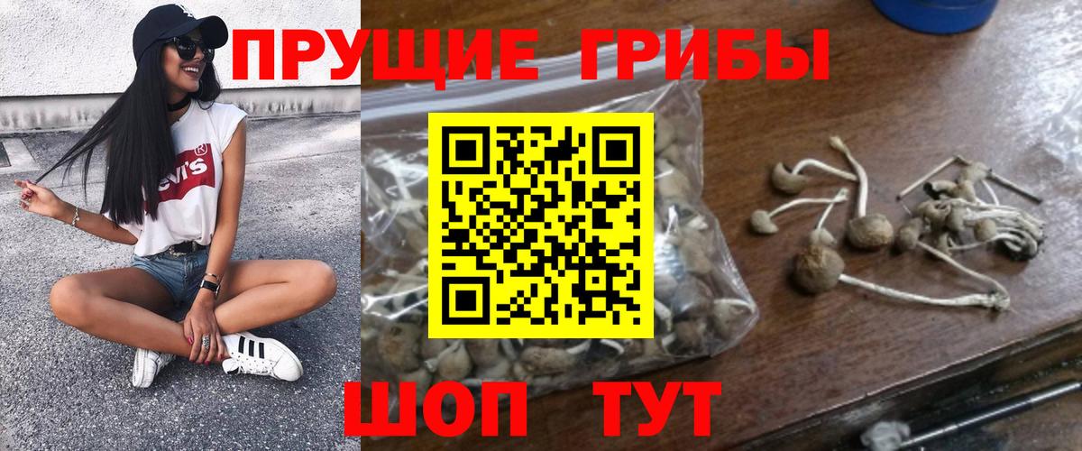 Псилоцибиновые грибы мицелий Улан-Удэ
